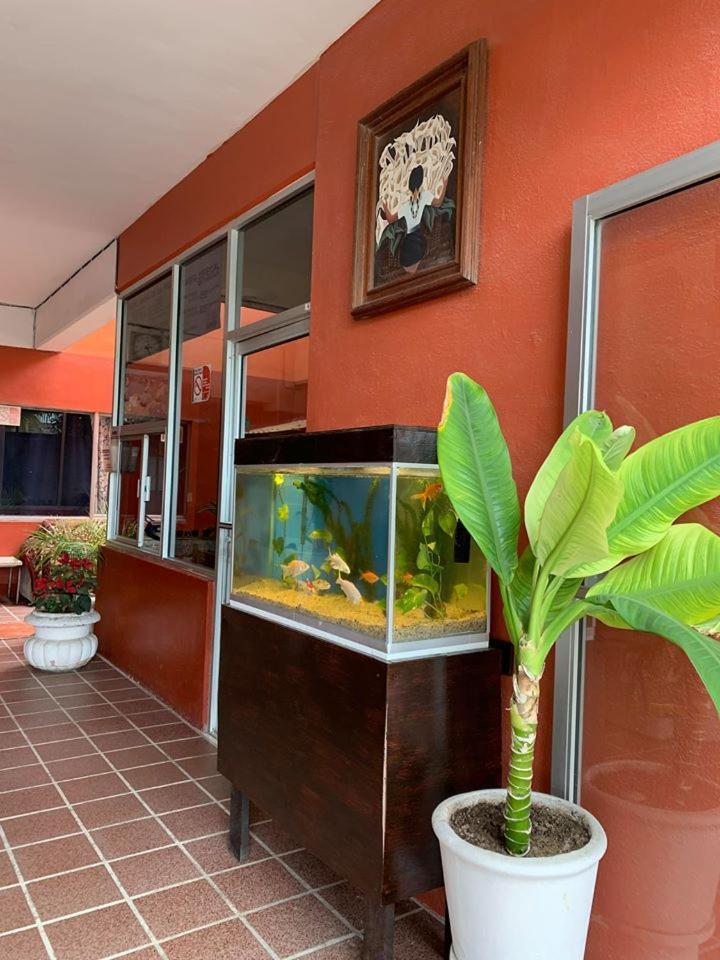 Hotel Bahia De 라파스 외부 사진